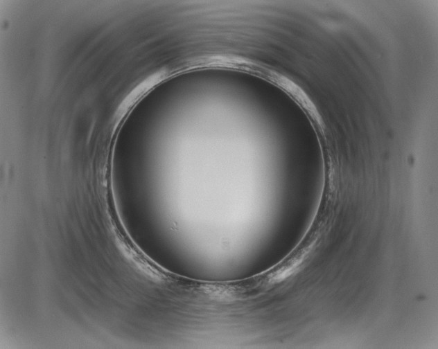 X0000086280954200703291458