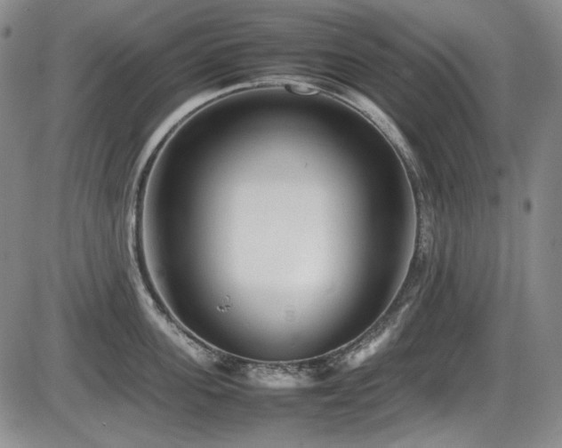 X0000086280955200703291458