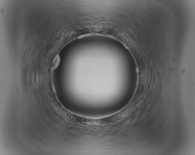 X0000086280961200703291457