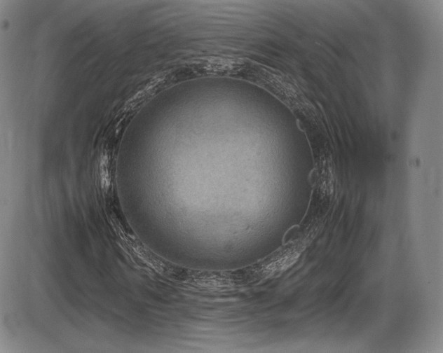X0000086280962200703291457
