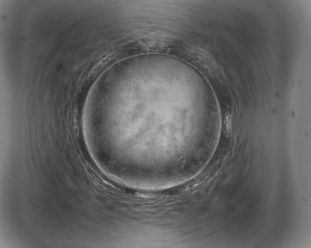X0000086280963200703291457