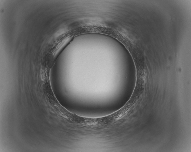 X0000086280965200703291457