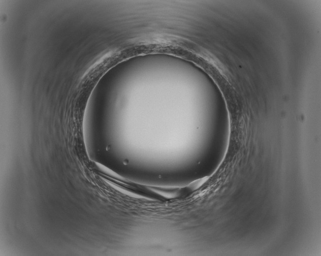 X0000086280967200703291457