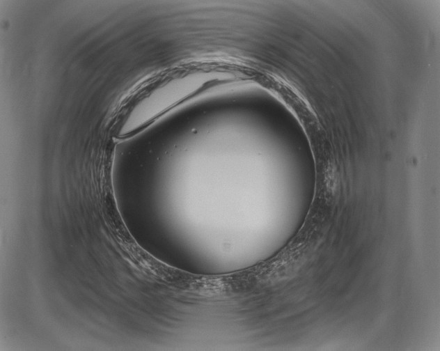 X0000086280968200703291457