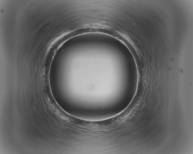 X0000086280971200703291457