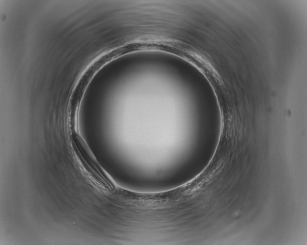 X0000086280976200703291457