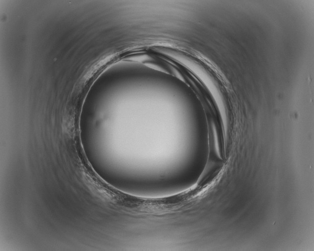 X0000086280977200703291457