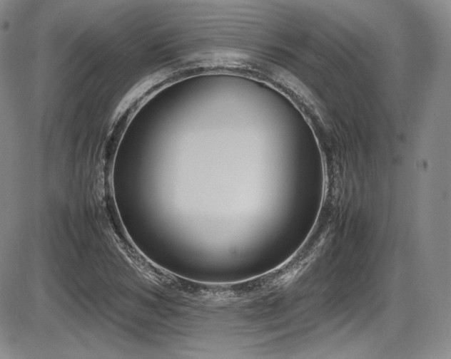 X0000086280978200703291457