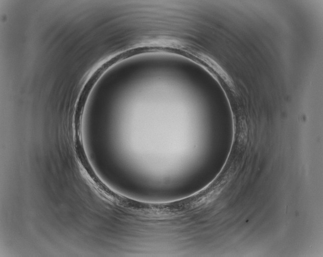 X0000086280980200703291457