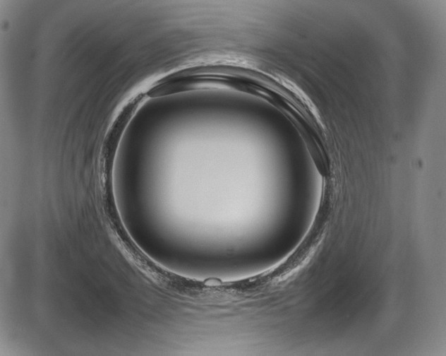 X0000086280981200703291457