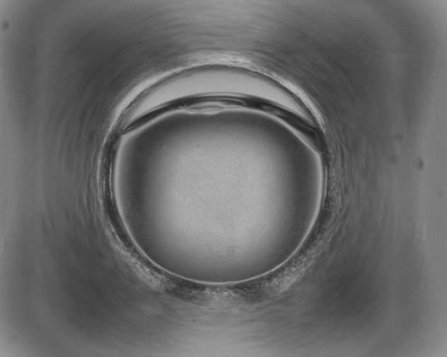X0000086280983200703291457