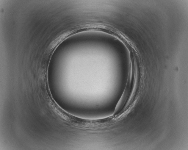 X0000086280985200703291457