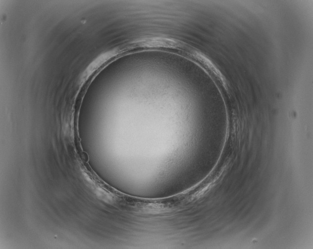 X0000086280986200703291457