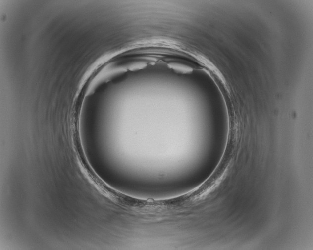 X0000086280989200703291457