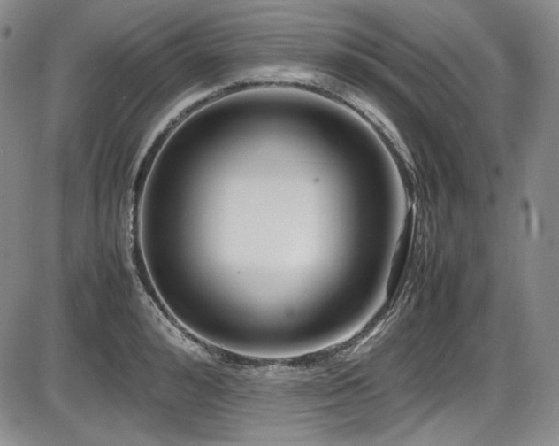 X0000086280992200703291456