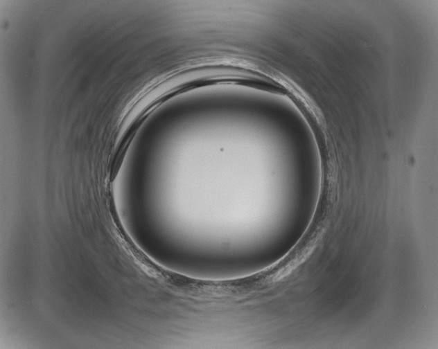 X0000086280993200703291456