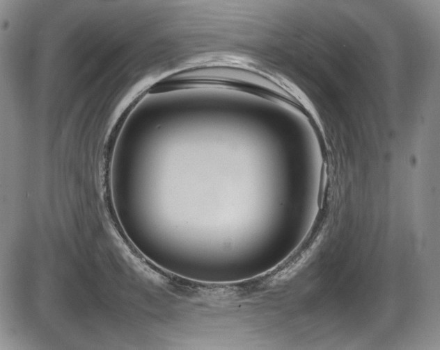 X0000086280997200703291456