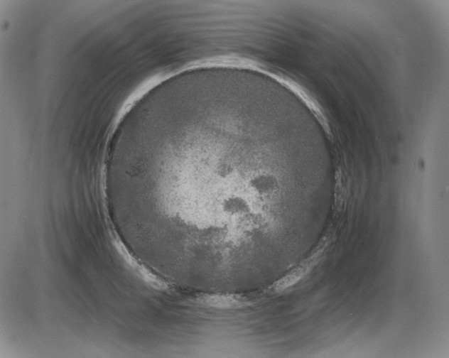 X0000086280998200703291456