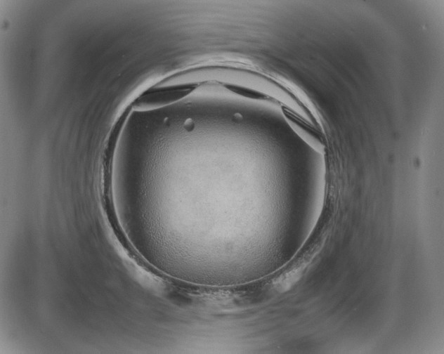 X0000086280999200703291456