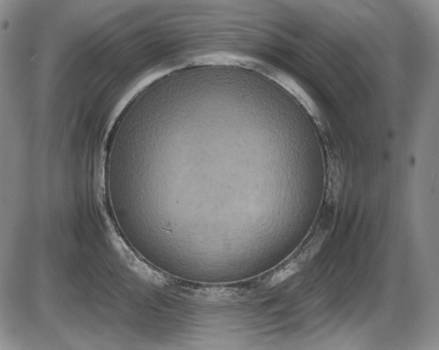 X0000086281000200703291456