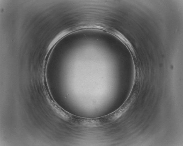 X0000086281002200703291456