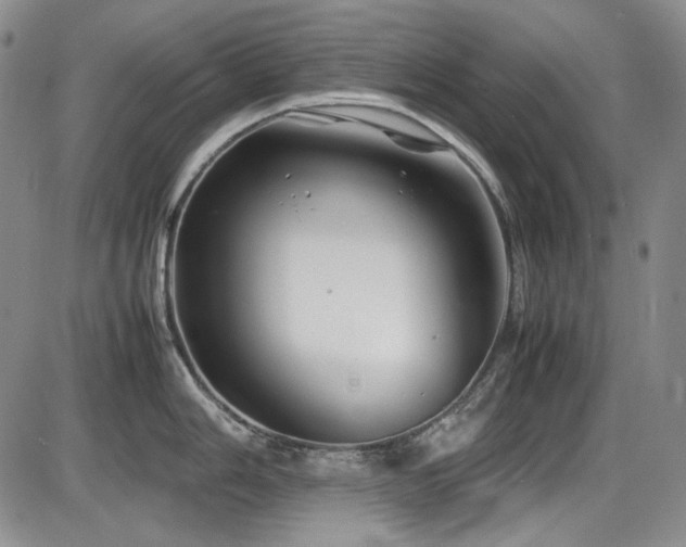 X0000086281006200703291456