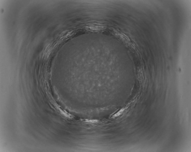 X0000086281009200703291455