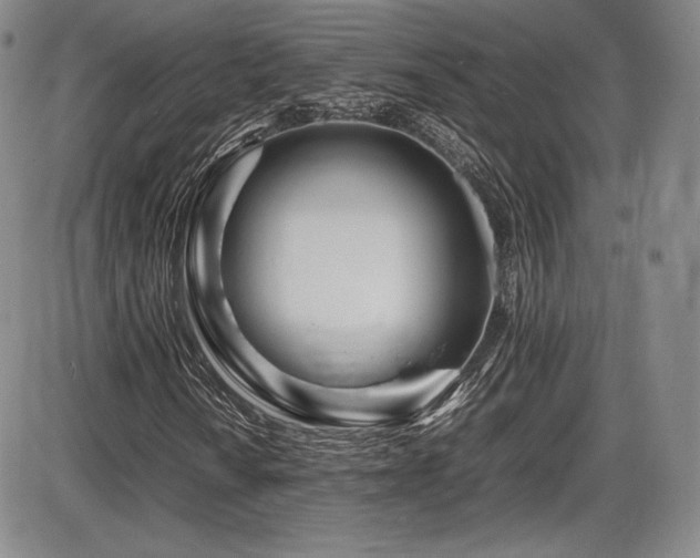 X0000086281010200703291455