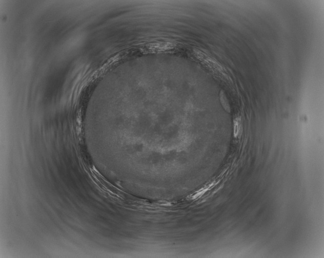X0000086281011200703291455