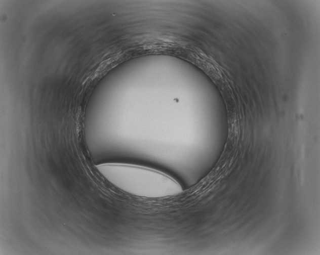 X0000086281012200703291455