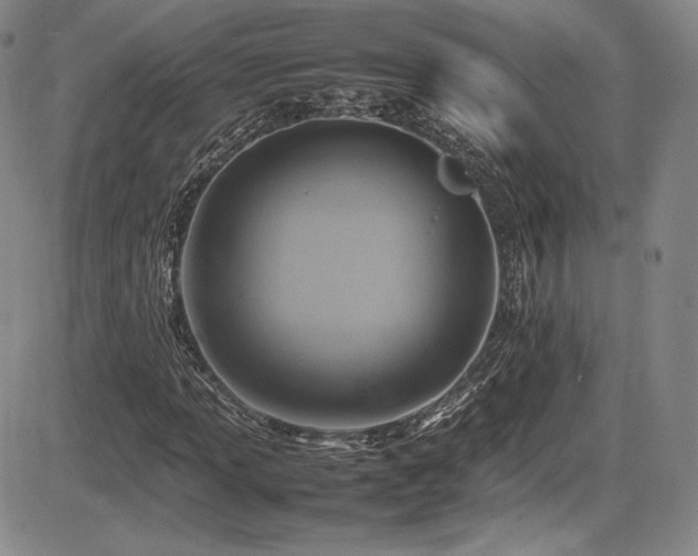X0000086281013200703291455