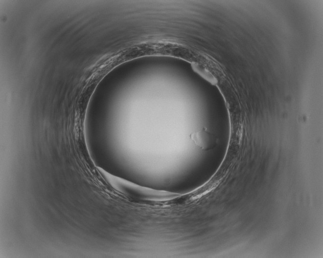 X0000086281014200703291455