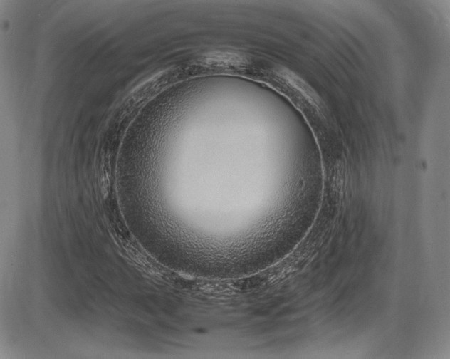 X0000086281015200703291455