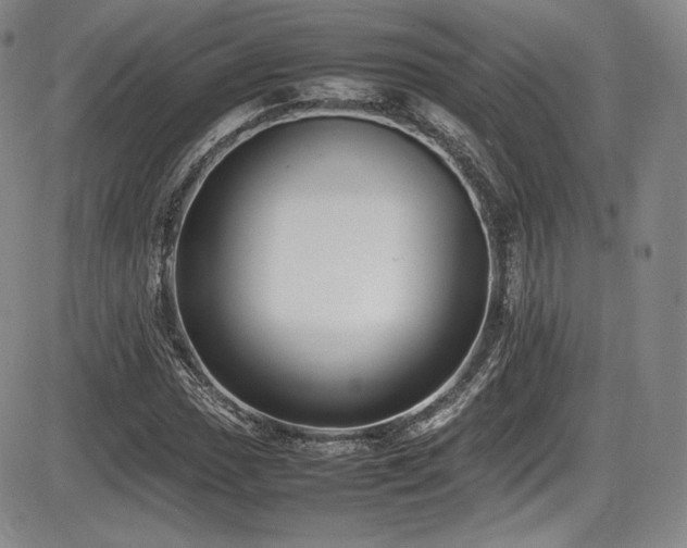 X0000086281017200703291456