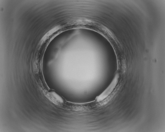 X0000086281018200703291456