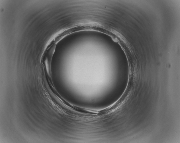 X0000086281022200703291456