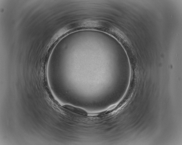 X0000086281025200703291456