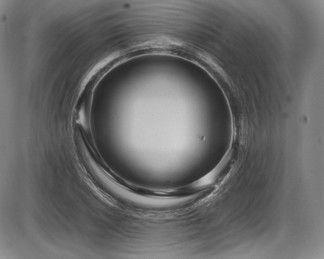 X0000086281026200703291456