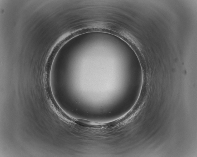 X0000086281029200703291456