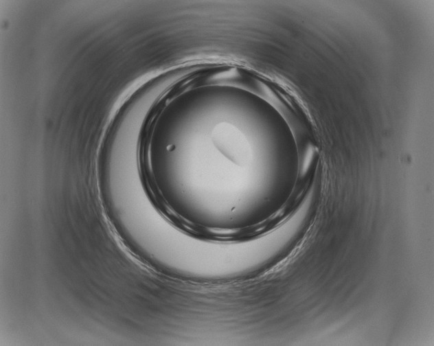 X0000086281030200703291456