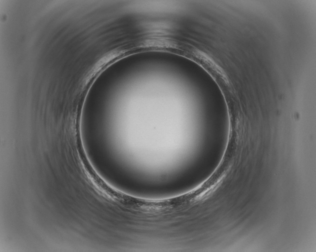 X0000086281033200703291456