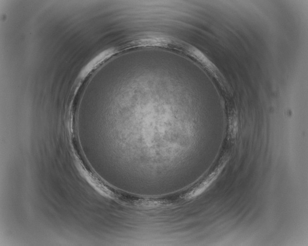 X0000086281034200703291456