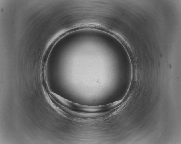 X0000086281038200703291456