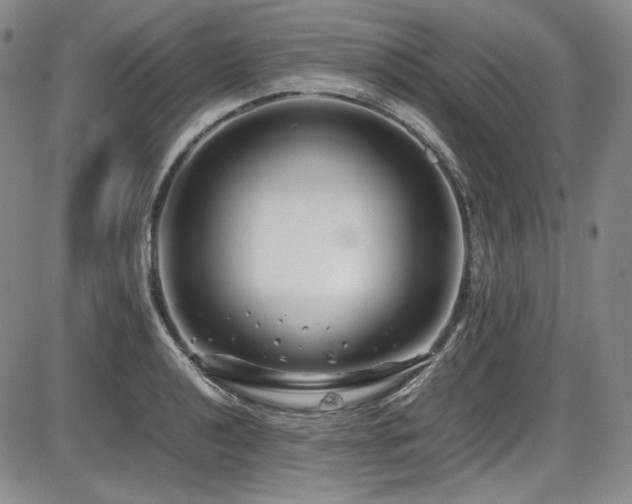 X0000086281040200703291456