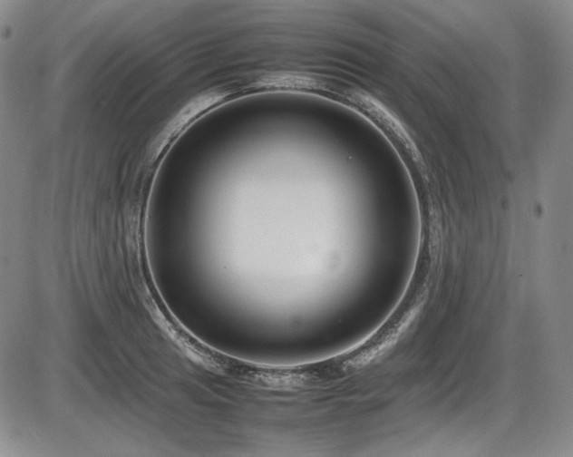 X0000086281041200703291456