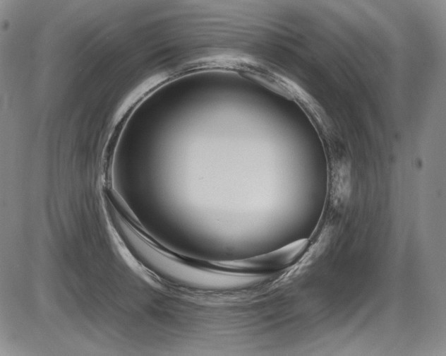 X0000086281042200703291456