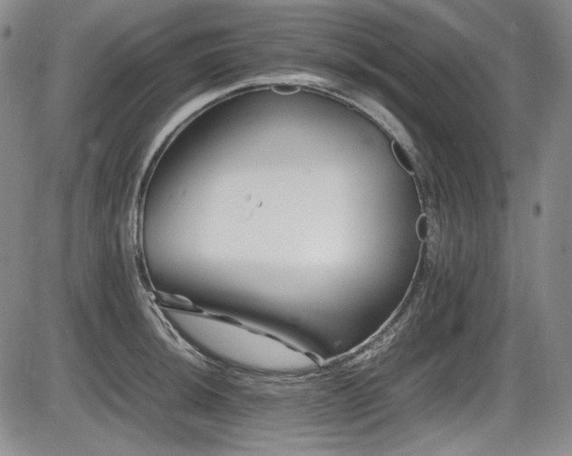 X0000086281044200703291456
