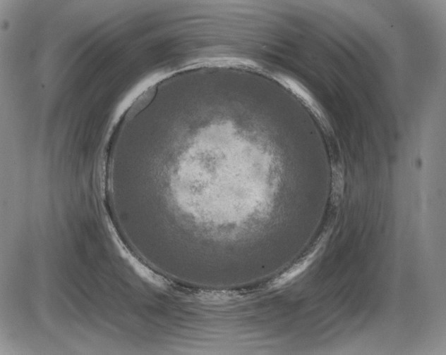 X0000086281046200703291456