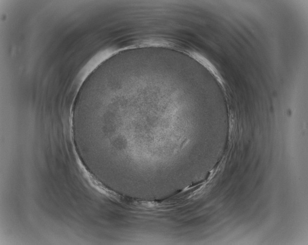 X0000086281047200703291456