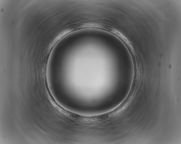 X0000086281049200703291456